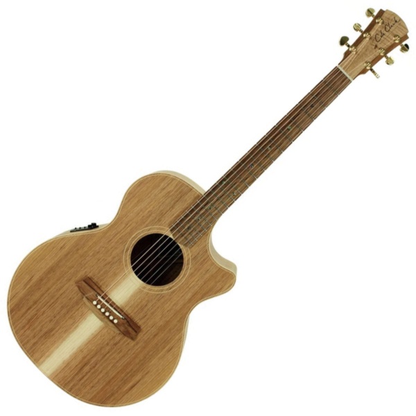 Cole Clark Guitar Cole Clark Angel 2 Acoustic/Electric Guitar All Blackwood AN2EC-BLBL - Byron Music