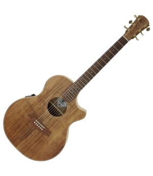 Cole Clark Guitar Cole Clarke Thinline 2 Acoustic/Electric Guitar Grand Auditorium TL2EC-BLBL - Byron Music