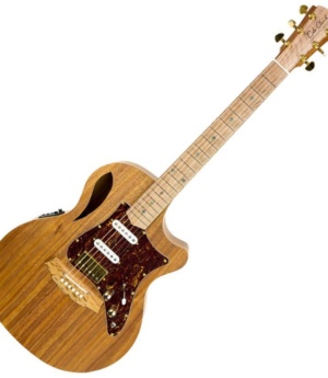 Cole Clark Guitar Cole Clark TL2EC-BLBL-HSS Grand Auditorium w/Humbucker & Single Coil Pickups - Byron Music