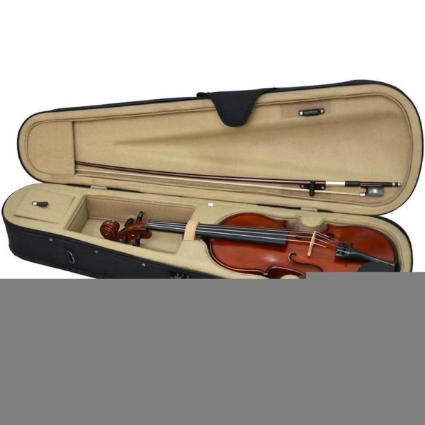 Enrico Orchestral Enrico Student Extra Violin 44 Size Byron Music