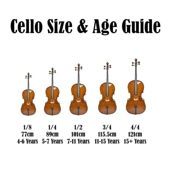 Enrico Orchestral Enrico Student Plus II Cello 12 Size Byron Music