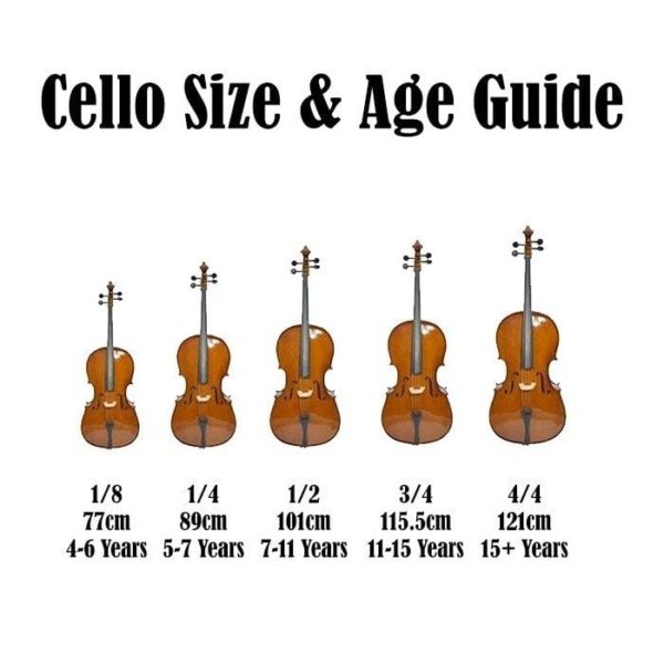 Enrico Orchestral Enrico Student Plus II Cello 44 Size Byron Music