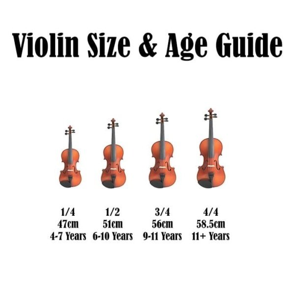 Enrico Orchestral Enrico Student Plus II Violin 12 Size Byron Music