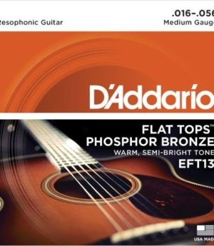 ACOUSTIC GTR STR SET 16/56 PH/BR F/W DOBRO