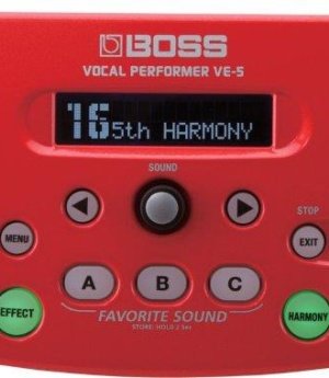 VOCAL PERFORMER