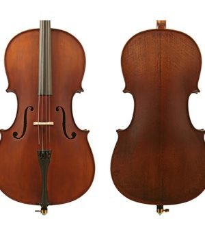 Enrico Student Plus II Cello Outfit - 3/4