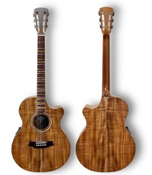Cole Clark RAN Recording - Master Grade Series Grand Auditorium Acoustic Guitar All Blackwood CCRANMGEC-BLBLR