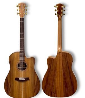 Cole Clark Fat Lady 2 CCFL2EC-BLBLR – All Blackwood with Rosewood Fingerboard