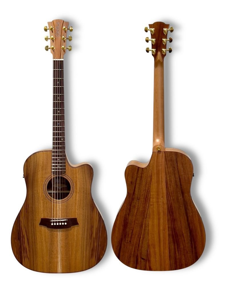Cole Clark Fat Lady 2 CCFL2EC-BLBLR – All Blackwood with Rosewood Fingerboard